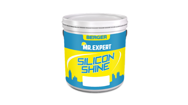 Silicon Shine